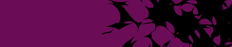Silent scream banner icon1.jpg