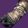 Iron Companion Gloves (Year 3)