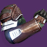 Iron Companion Gauntlets (Year 3)
