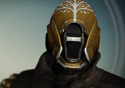 Iron Regalia Hood (Year 3)