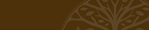 The ironwood tree banner icon1.jpg