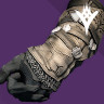 Iron Companion Gloves (Year 2)