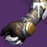 Iron Regalia Gloves (Year 3)